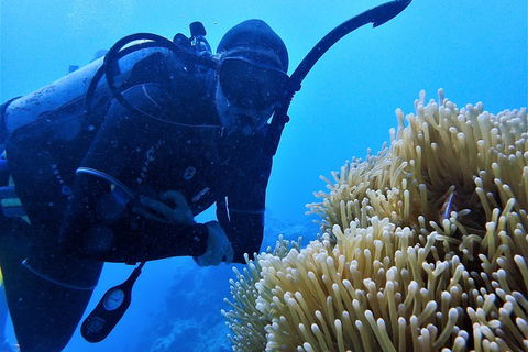 3 Day Whitsundays Sailing And Diving Adventure: Kiana - Accommodation Bookings 5