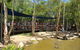 Hartley's Crocodile Adventures Breakfast With The Koalas - thumb 1