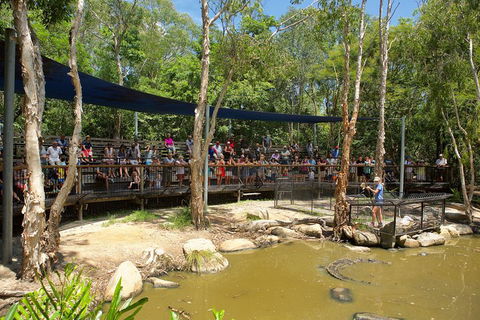 Hartley's Crocodile Adventures Breakfast With The Koalas - Accommodation Bookings 1