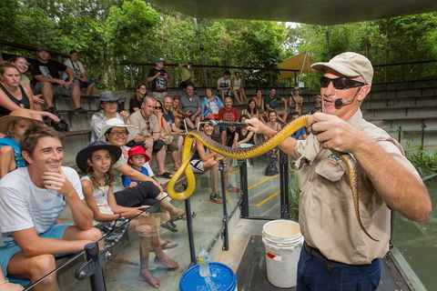 Hartley's Crocodile Adventures Breakfast With The Koalas - Accommodation Bookings 3