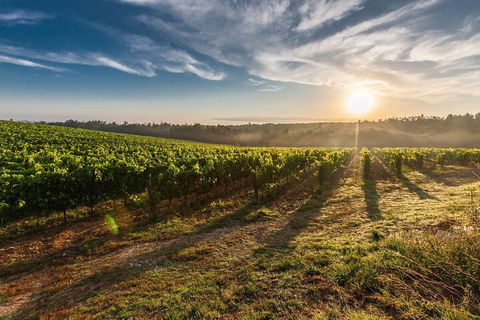 Perth To Margaret River Wine Tour - 2 Day Premium Boutique Wine Tour Experience - Accommodation Bookings 0