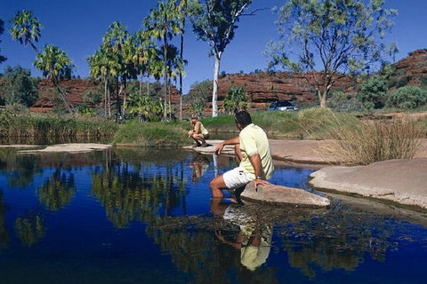 Palm Valley 4WD Day Tour - Accommodation Bookings 1
