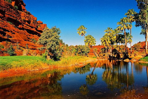 Palm Valley 4WD Day Tour - Accommodation Bookings 2