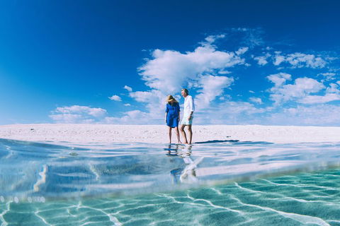 4-Day Coastal Loop Via Monkey Mia Wild Dolphins Kalbarri Pinnacles Perth Return - Accommodation Bookings 0