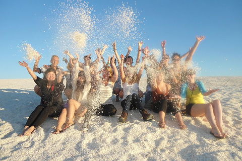 4-Day Coastal Loop Via Monkey Mia Wild Dolphins Kalbarri Pinnacles Perth Return - Accommodation Bookings 1