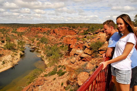 4-Day Coastal Loop Via Monkey Mia Wild Dolphins Kalbarri Pinnacles Perth Return - Accommodation Bookings 3