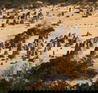 Pinnacles Sunset Dinner and Stargazing Experience a Small Group Tour - Accommodation Bookings