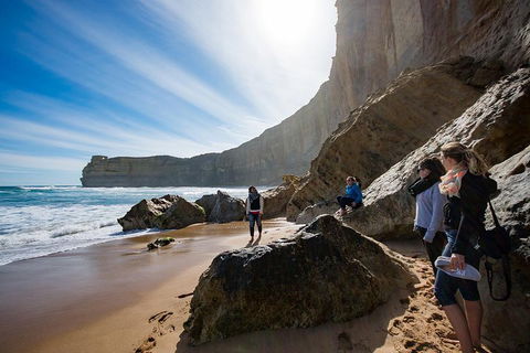 2-Day Melbourne To Adelaide Tour: Great Ocean Road And Grampians One Way Trip - Accommodation Bookings 1