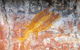 Kakadu Wilderness Escape - Top End Day Tour From Darwin - thumb 2