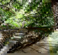 12 Apostles Eco-Friendly Great Ocean Road Iconic Adventure from Melbourne - Accommodation Bookings