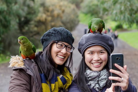 Small-Group Great Ocean Road And 12 Apostles Full-Day Tour From Melbourne - Accommodation Bookings 0