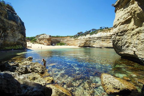Small-Group Great Ocean Road And 12 Apostles Full-Day Tour From Melbourne - Accommodation Bookings 5
