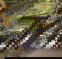 Adelaide Highlights Hahndorf  McLaren Vale Wine Tasting and Sightseeing Tour - Accommodation Bookings