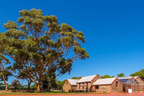 McLaren Vale And Glenelg Wine Tasting And Sightseeing (Half-day Afternoon) - Accommodation Bookings 5