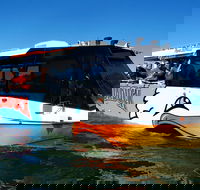 Express Jet Boat Ride  Aquaduck - Accommodation Bookings