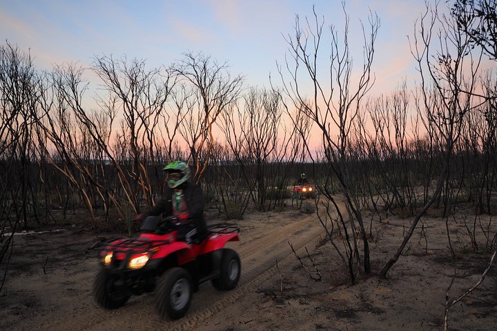 Kangaroo Island Quad Bike (ATV) Tours - thumb 1