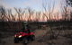 Kangaroo Island Quad Bike (ATV) Tours - thumb 1