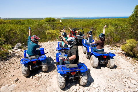 Kangaroo Island Quad Bike (ATV) Tours - Accommodation Bookings 3