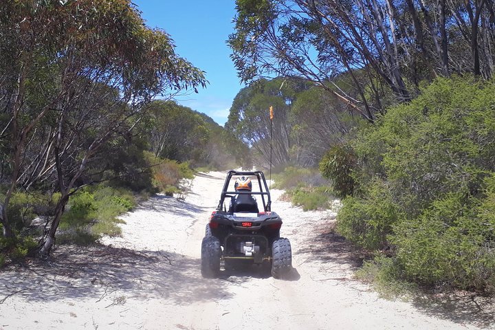 Kangaroo Island Quad Bike (ATV) Tours - thumb 4