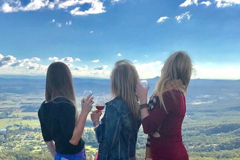 Mount Tamborine Wine Tasting Tour From Brisbane Or The Gold Coast - Accommodation Bookings 1