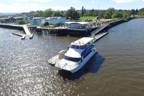 2.5 Hour Morning Discovery Cruise Including Sailing Into The Cataract Gorge - Accommodation Bookings 3