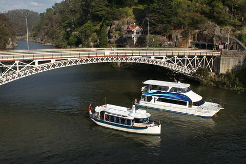 2.5 Hour Morning Discovery Cruise Including Sailing Into The Cataract Gorge - Accommodation Bookings 5