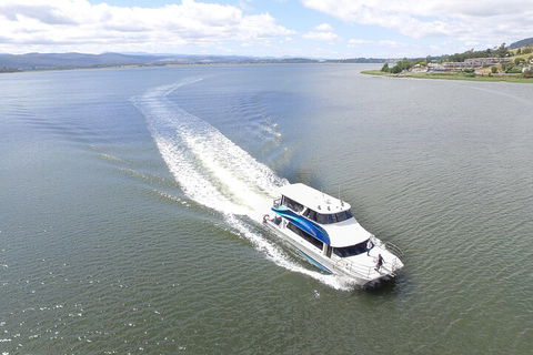 2.50 Hour Afternoon Discovery Cruise Including Cataract Gorge Departing At 3 Pm - Accommodation Bookings 0