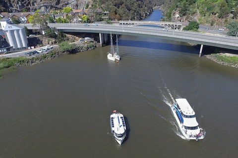 2.50 Hour Afternoon Discovery Cruise Including Cataract Gorge Departing At 3 Pm - Accommodation Bookings 3