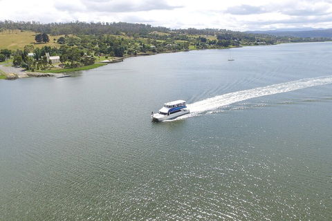 2.50 Hour Afternoon Discovery Cruise Including Cataract Gorge Departing At 3 Pm - Accommodation Bookings 4