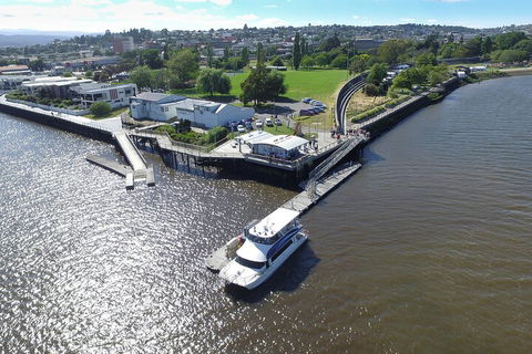 2.5 Hour Afternoon Discovery Cruise Including Cataract Gorge Departs At 1: 30 Pm - Accommodation Bookings 3