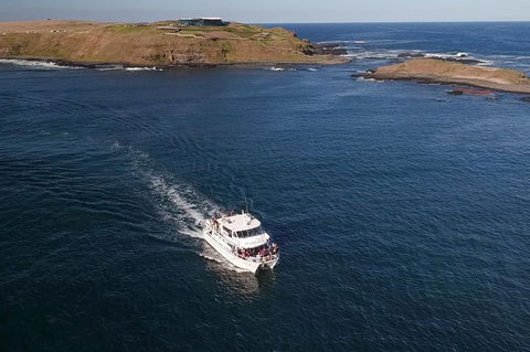 Phillip Island Seal-Watching Cruise - Accommodation Bookings 1
