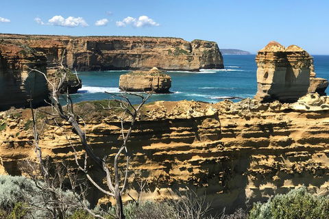 Great Ocean Road Reverse Itinerary Tour - Accommodation Bookings 1