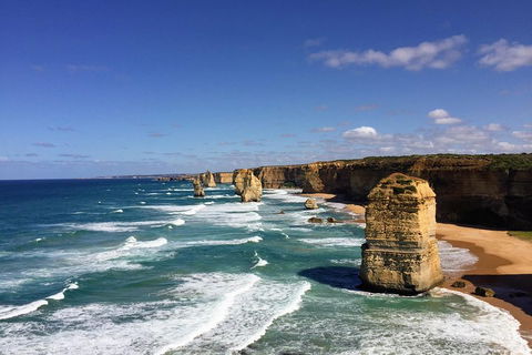 Great Ocean Road Reverse Itinerary Tour - Accommodation Bookings 4