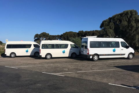 Great Ocean Road Reverse Itinerary Tour - Accommodation Bookings 5