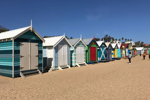 Phillip Island Penguin Parade, Brighton Bathing Boxes And Wildlife Park Tour - Accommodation Bookings 3