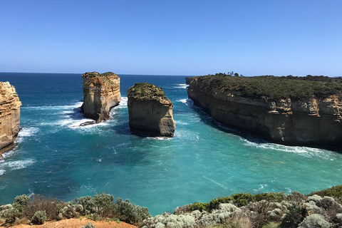 Great Ocean Road Reverse Itinerary PREMIUM Tour - Accommodation Bookings 0