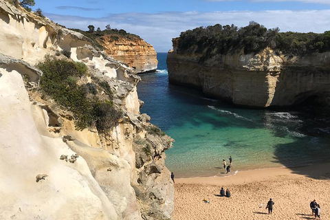 Great Ocean Road Reverse Itinerary PREMIUM Tour - Accommodation Bookings 3