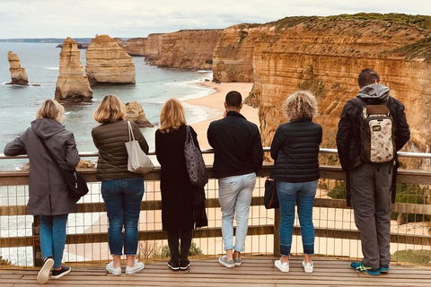 Great Ocean Road Reverse Itinerary PREMIUM Tour - Accommodation Bookings 5