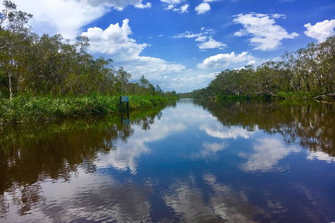 Noosa Everglades Serenity Cruise & Highlights Tour Inc. Lunch & Cruise - Accommodation Bookings 0