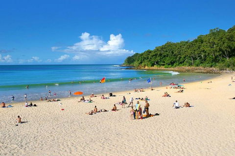 Noosa Everglades Serenity Cruise & Highlights Tour Inc. Lunch & Cruise - Accommodation Bookings 4