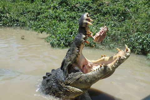 Litchfield And Jumping Crocodiles Full Day Trip From Darwin - Accommodation Bookings 3