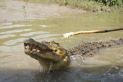 Litchfield And Jumping Crocodiles Full Day Trip From Darwin - Accommodation Bookings 4