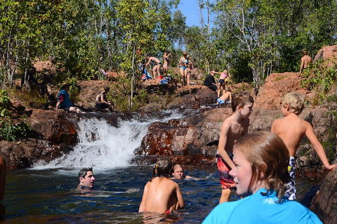 Litchfield And Jumping Crocodiles Full Day Trip From Darwin - Accommodation Bookings 5