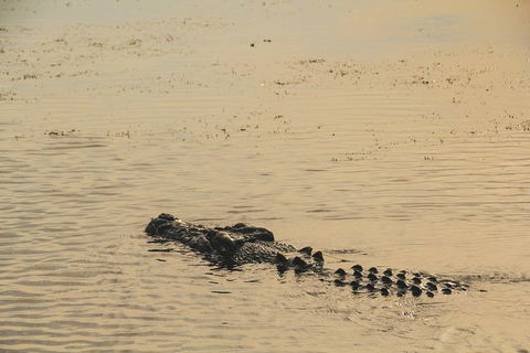 Yellow Water Cruise - Kakadu - Accommodation Bookings 2