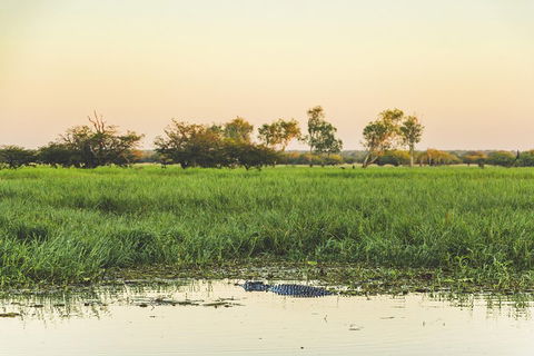 Yellow Water Cruise - Kakadu - Accommodation Bookings 3