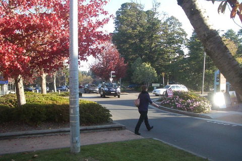 PRIVATE All-Day Blue Mountains Tour With Professional Guide For Up To 4 People - Accommodation Bookings 1