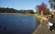 PRIVATE All-Day Blue Mountains Tour With Professional Guide For Up To 4 People - thumb 2