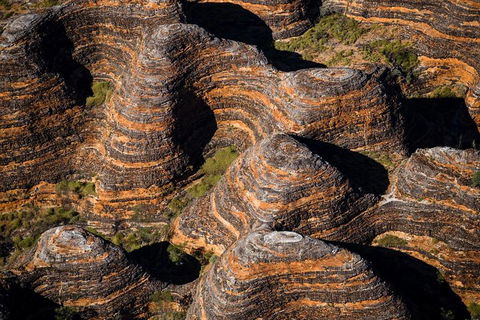 Bungle Bungle Scenic Flights, Domes & Cathedral Gorge Walk - Accommodation Bookings 4