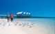 Margaret River And Geographe Bay Region Day Trip From Perth - thumb 0