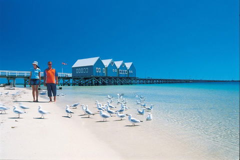 Margaret River And Geographe Bay Region Day Trip From Perth - Accommodation Bookings 0
